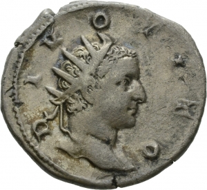 Divus Titus