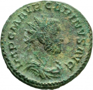 Carinus