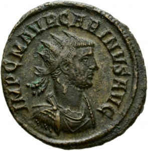 Carinus