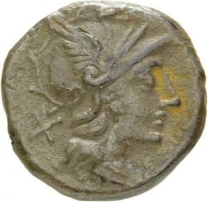 Römische Republik: C. Scribonius