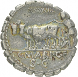 Römische Republik: C. Marius C. f. Capito