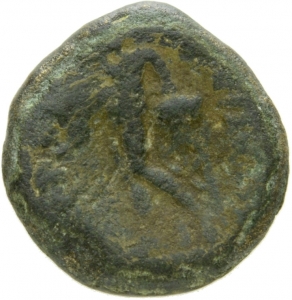 Seleukiden: Seleukos II. Kallinikos