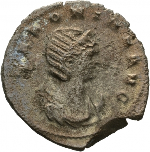 Salonina