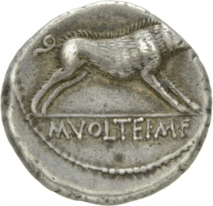 Römische Republik: M. Volteius M. f.