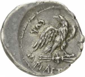 Römische Republik: M. Plaetorius M. f. Cestianus