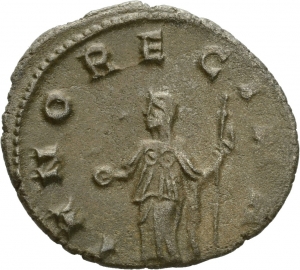 Salonina