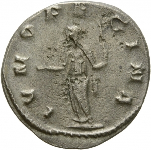 Salonina