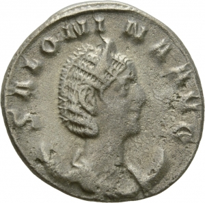 Salonina