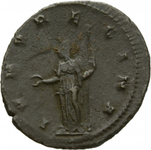 Salonina