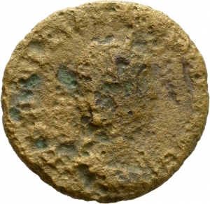 Salonina