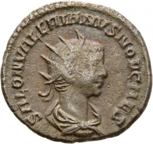 Saloninus