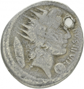 Römische Republik: C. Coelius Caldus