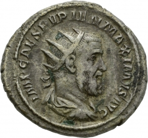 Pupienus