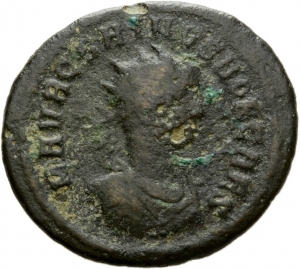 Carinus