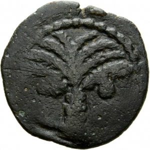 Iudaea: M. Ambibulus oder Coponius